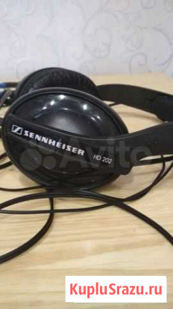 Sennheiser hd 202 Волгоград - изображение 1
