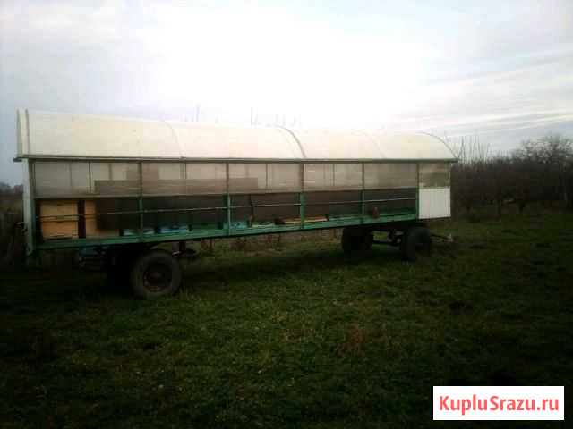 Повельон с пчёлами Михайловск - изображение 1