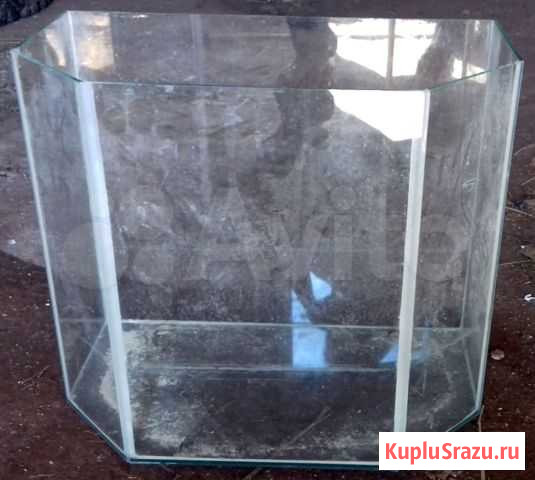 Аквариум Кумертау - изображение 1