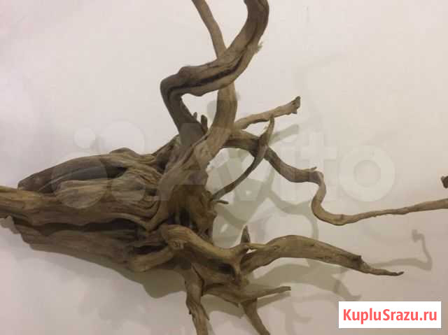 Кольца, вулканическая лава для фильтра, коряга Кириши - изображение 1