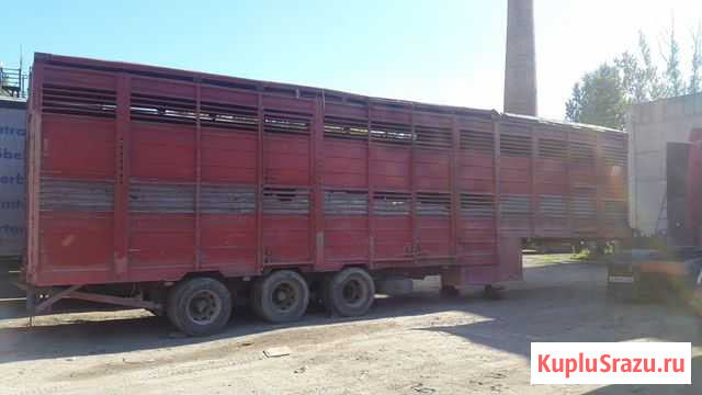 Скотовоз для перевозки крс Рязань - изображение 1