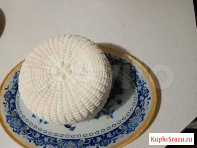 Козий сыр Белореченск - изображение 1
