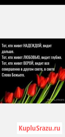 Тюльпаны 5-7 марта Ландыши Полевые цветы Воронеж - изображение 1