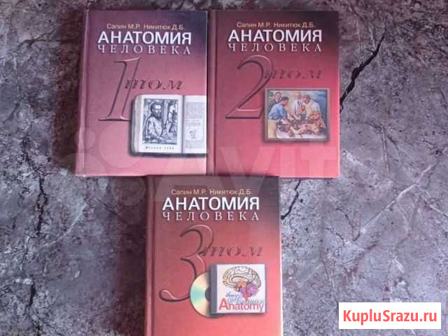 Анатомия, Сапин и Никитюк Ангарск - изображение 1