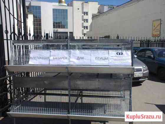 Клеточная батарея для птицы Белгород