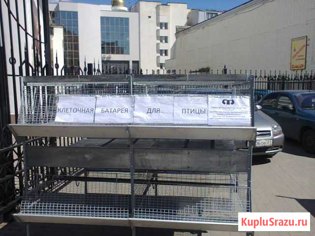 Клеточная батарея для птицы Белгород - изображение 1