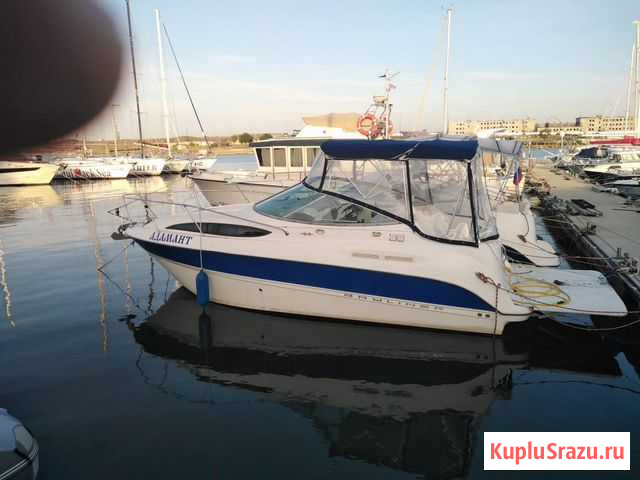 Катер Bayliner 245 Севастополь - изображение 1