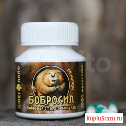 Бобросил Красноусольский - изображение 1