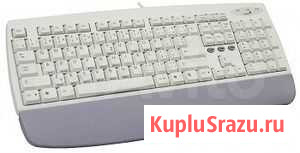 Клавиатура Genius Елец - изображение 1