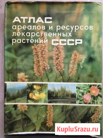 Атлас лекарственных растений СССР 1983 года Сочи - изображение 1