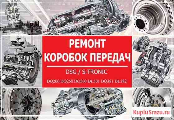 DSG service VAG Сургут