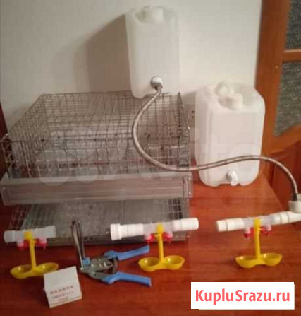 Клетка для перепелов Волжск - изображение 1