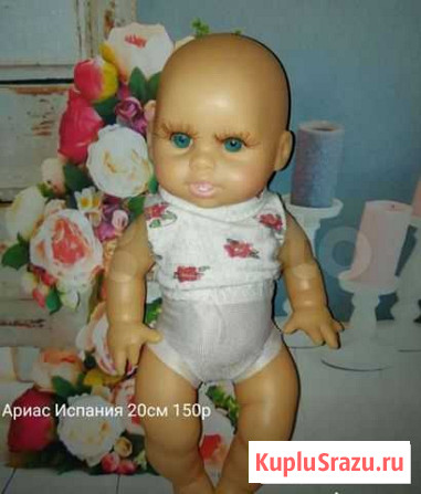 Пупсы Ярославль - изображение 1