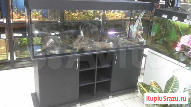 Продаю аквариум 400 литров Шумерля - изображение 1