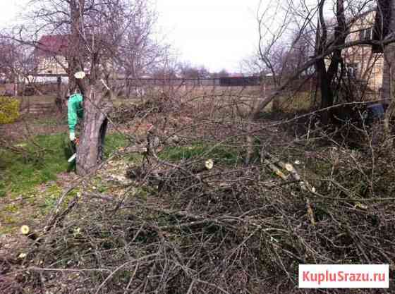 Разбор домов,Корчевание деревьев, удаление деревье Волоколамск