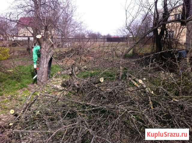 Разбор домов,Корчевание деревьев, удаление деревье Волоколамск - изображение 1