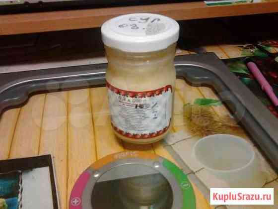 Продам жир сурка Энгельс