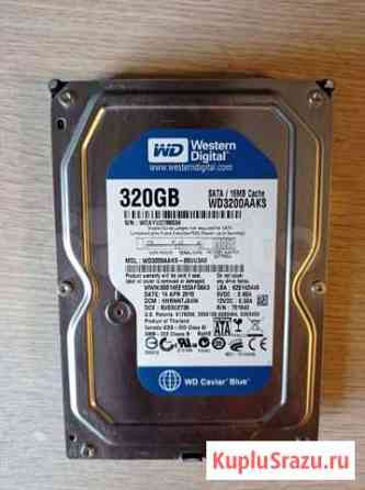 Жесткий диск 320Gb WD Blue SATA Томск