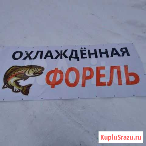 Форель сёмга креветки Салехард - изображение 1