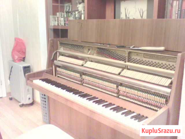 Настройка фортепиано (пианино и роялей) Люберцы - изображение 1