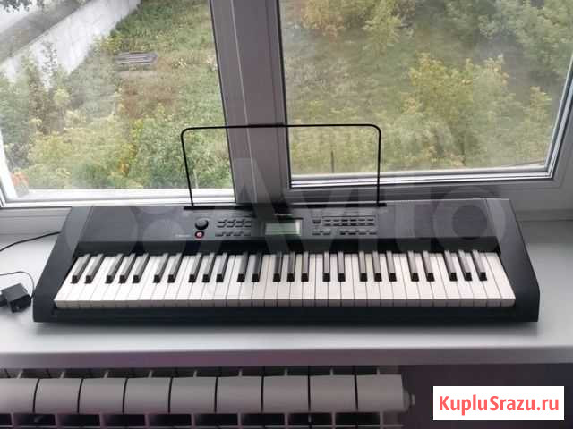 Синтезатор Бийск - изображение 1