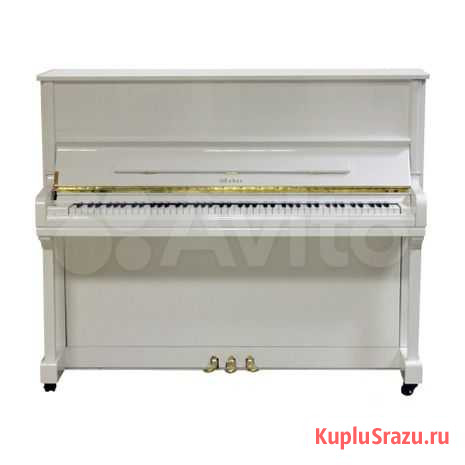 Weber Professional Studio W121, подарок - ноутбук Екатеринбург - изображение 1
