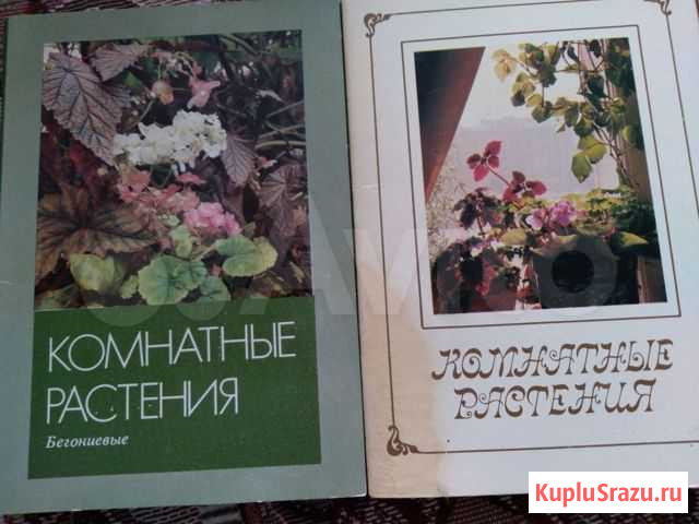 Набор открыток  Комнатные растения Петрозаводск - изображение 1