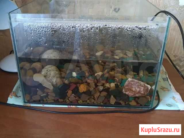 Аквариум Бердск - изображение 1
