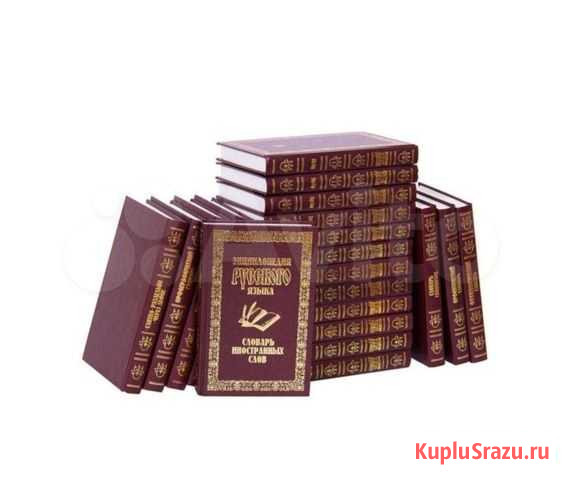 Энциклопедия русского языка Нерюнгри - изображение 1