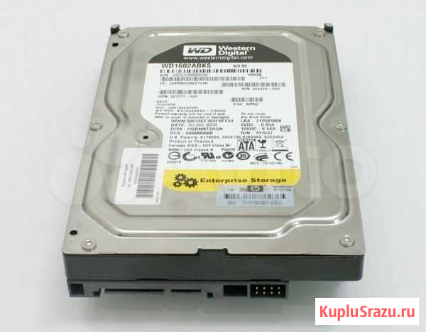 Western Digital (WD1602abks) 160 Гб SATA Красноярск - изображение 1