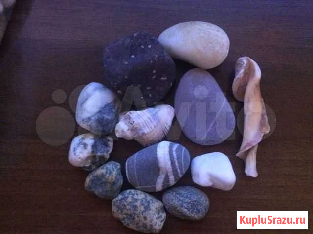 Украшение для аквариума Липецк - изображение 1