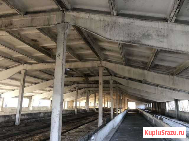 Строительство коровника Краснодар - изображение 1