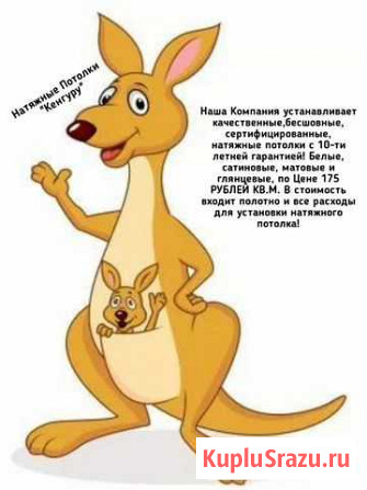Натяжные потолки Кенгуру Чита - изображение 1