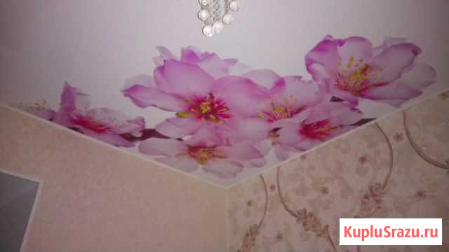 Натяжные потолки Томск - изображение 1