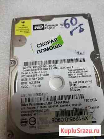 HDD WD 60 Gb Белгород