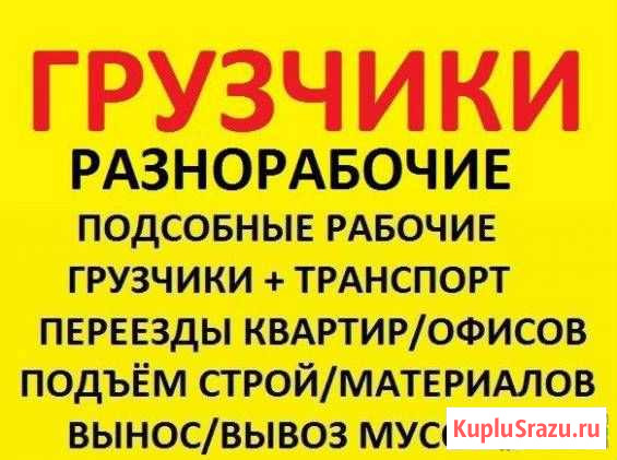 Грузчики,разнорабочие,вывоз мусора,демонтаж Уссурийск - изображение 1
