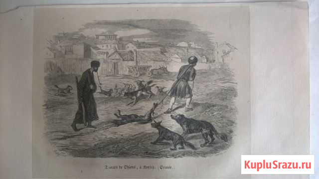 Старинная гравюра Убийцы собак в Керчи 1839 г Севастополь - изображение 1