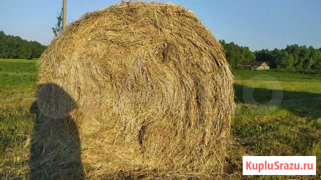 Сено Сосновка - изображение 1