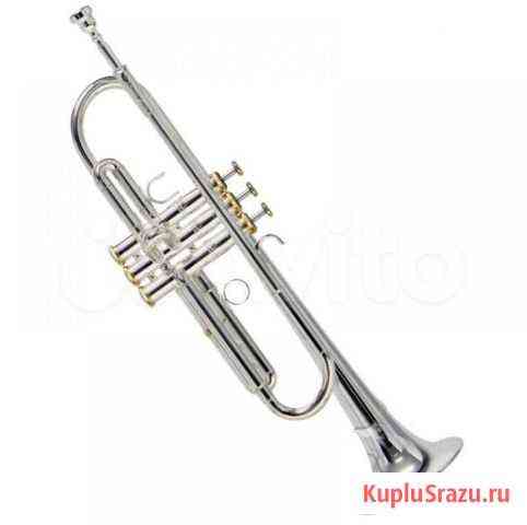 Труба - Roy Benson Charli Green signature model Bb Москва