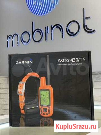 Garmin Astro430 с ошейником T5 Улан-Удэ - изображение 1
