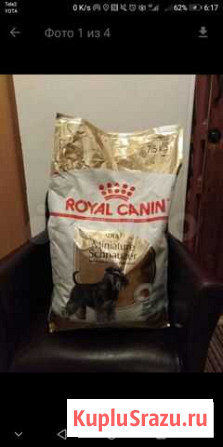 Сухой корм для собак Балашиха - изображение 1