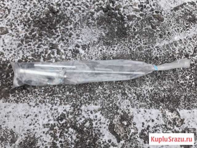 Сом Одинцово - изображение 1