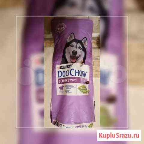 Корм для собак Dog Chow senior Ватутинки