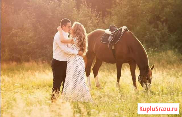 Конные прогулки/фотосессии Комсомольск-на-Амуре - изображение 1