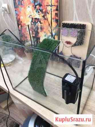 Аквариум Набережные Челны