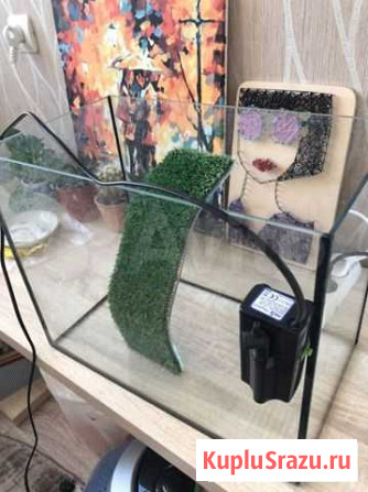 Аквариум Набережные Челны - изображение 1