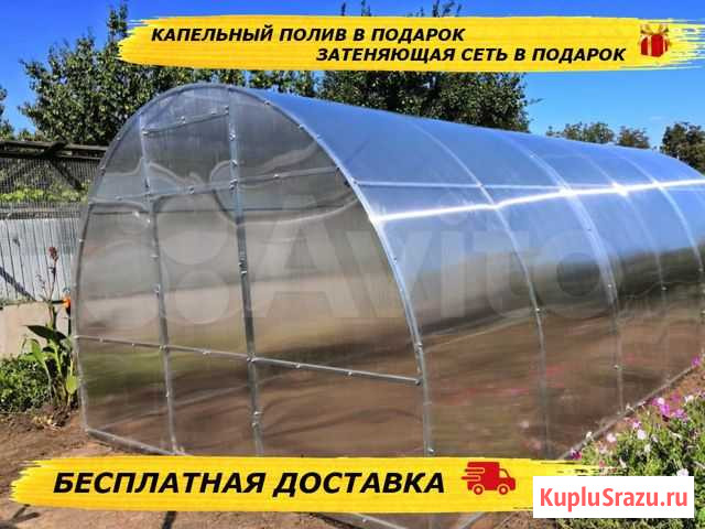 Теплица Отрадная - изображение 1