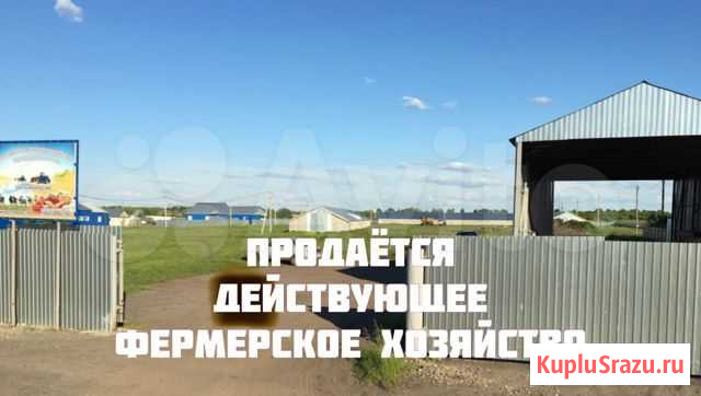 Продаётся действующее Хозяйство. Фермерское хоз-во Земетчино - изображение 1