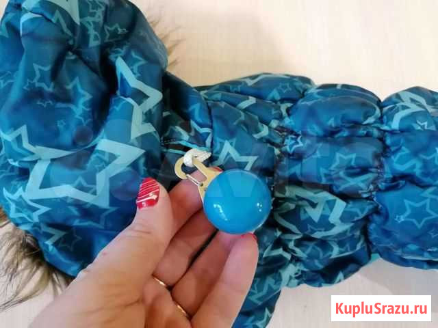 Одежда для собак Орехово-Зуево - изображение 1