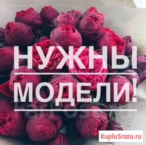 Ищу моделей Чита - изображение 1